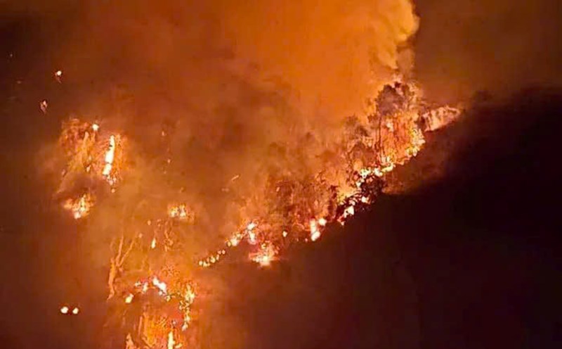 Forest fire on the night of January 16 in Huu Lung district, Lang Son. Photo: Provided by local people