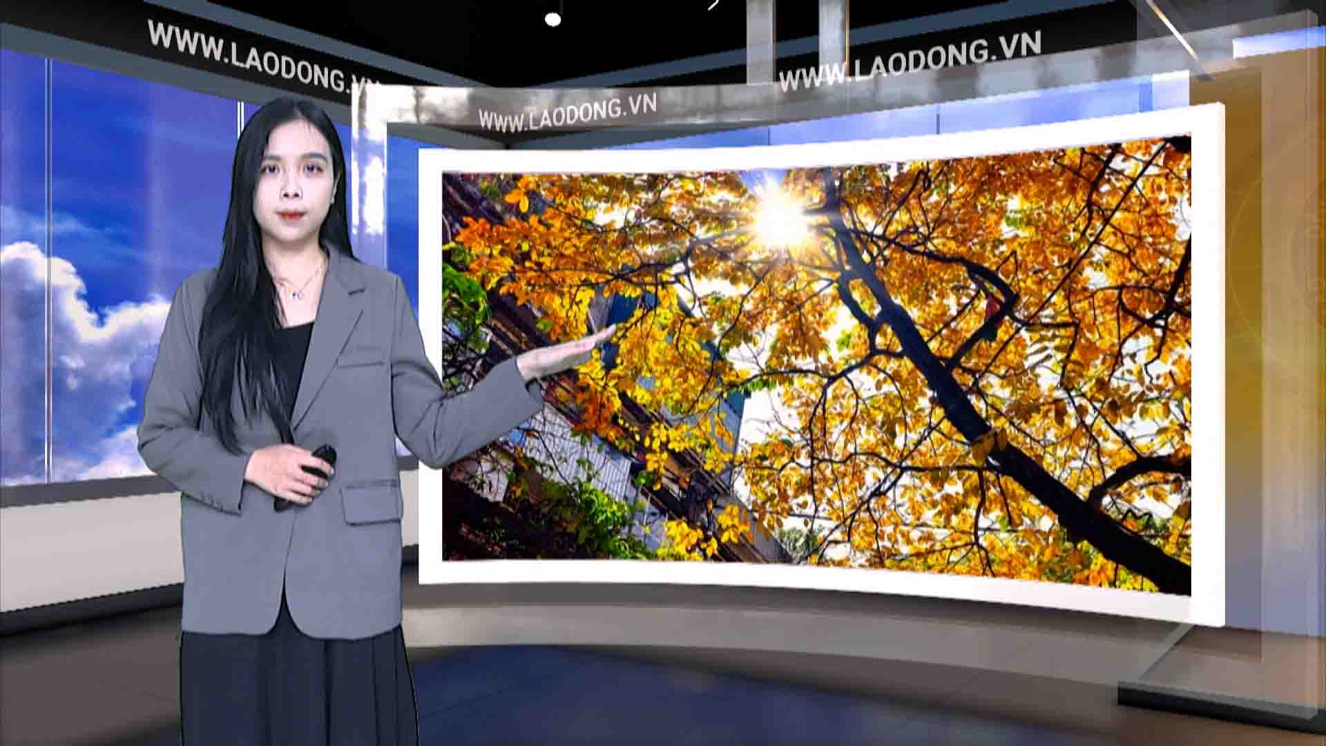 Weather forecast tonight and tomorrow 18.1