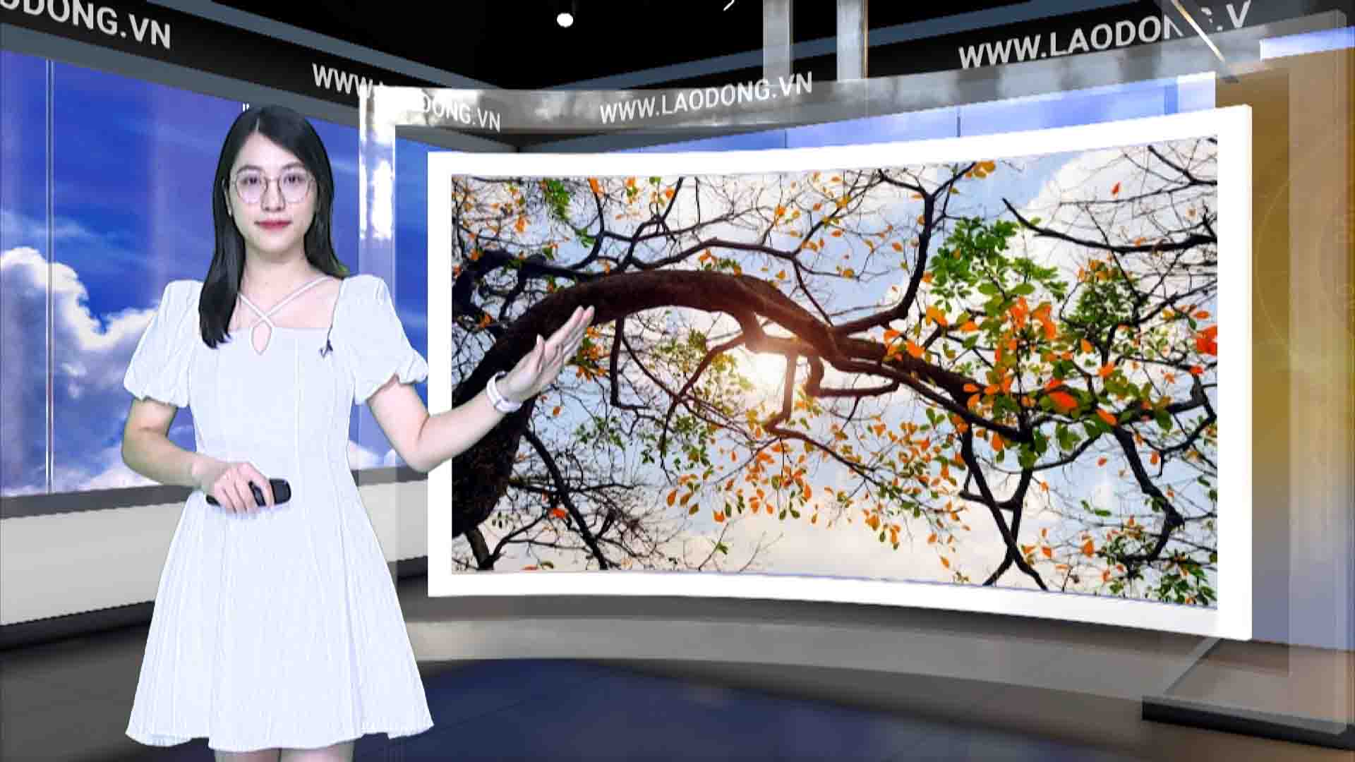 Weather forecast tonight and tomorrow 19.1