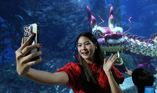 Một du khách chụp ảnh tự sướng với màn múa rồng dưới nước trong buổi biểu diễn chào đón Tết Nguyên đán 2025 tại SEA LIFE Bangkok Ocean World ở Bangkok, Thái Lan, ngày 16.1. Ảnh: Xinhua