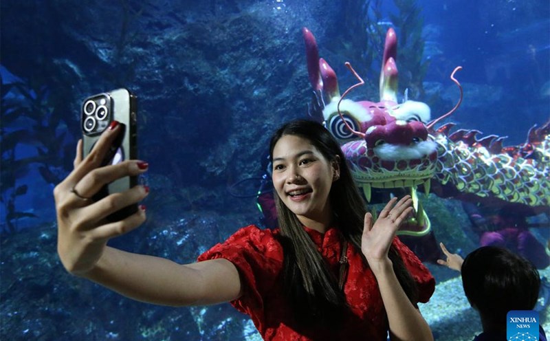 A tourist takes a selfie with an underwater dragon dance during a performance to celebrate the Lunar New Year 2025 at SEA LIFE Bangkok Ocean World in Bangkok, Thailand, Jan. 16. Photo: Xinhua