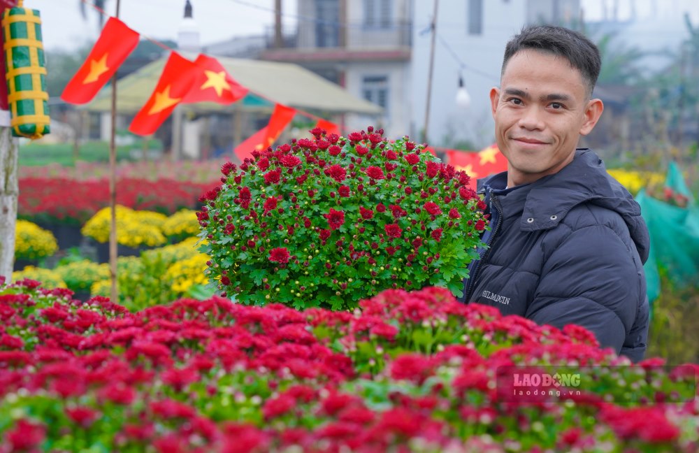 Trong khi do, anh Ton That Hiep mot thuong lai chia se: “Hien toi dang di mua hoa ve phuc vu Tet xuan. Cac chau cuc mam xoi, hoa ly, hoa ong tho o day rat dep, phuc vu cho ba con choi Tet ruc ro. Nhung ngay toi day thoi tiet co nang am, thoi tiet dep, ba con trong hoa Tet nam nay kha nang trung lon”.