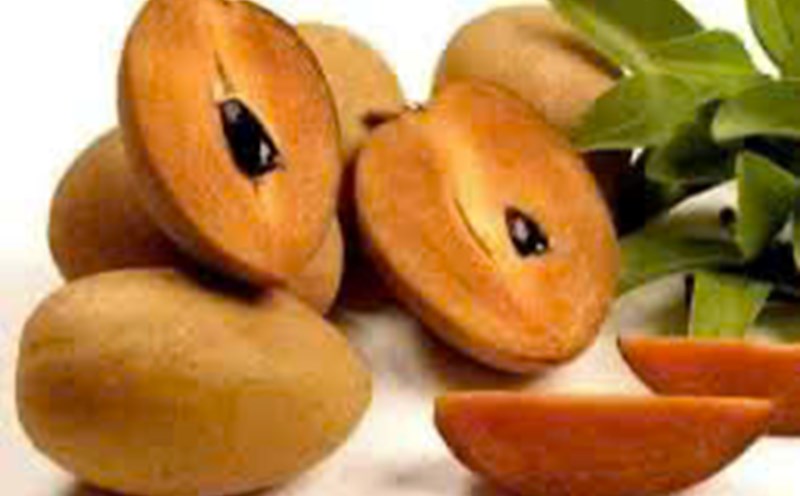 Sapodilla fruit increases blood sugar. Graphics: Huong Giang