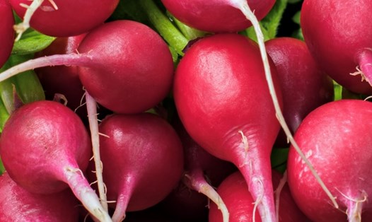 Bổ sung loại củ này vào chế độ ăn để hỗ trợ giảm mỡ bụng và giảm cân hiệu quả. Ảnh: Kiều Vũ