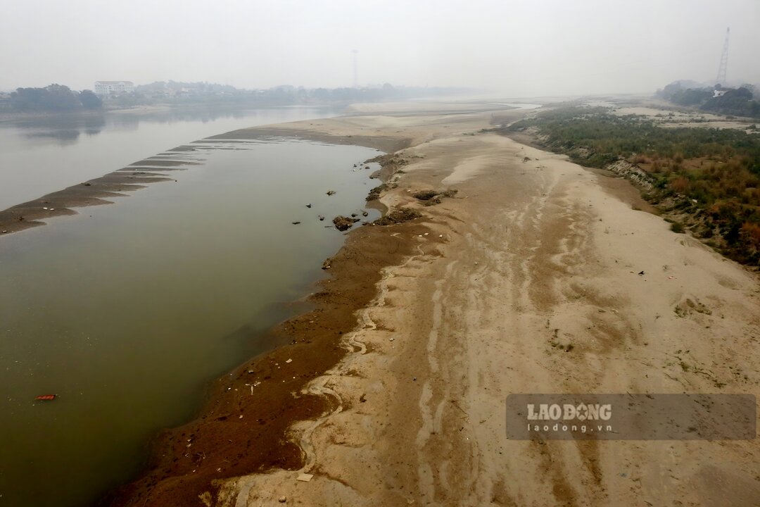 The Red River dries up, giant sand dunes appear. Photo: To Cong.