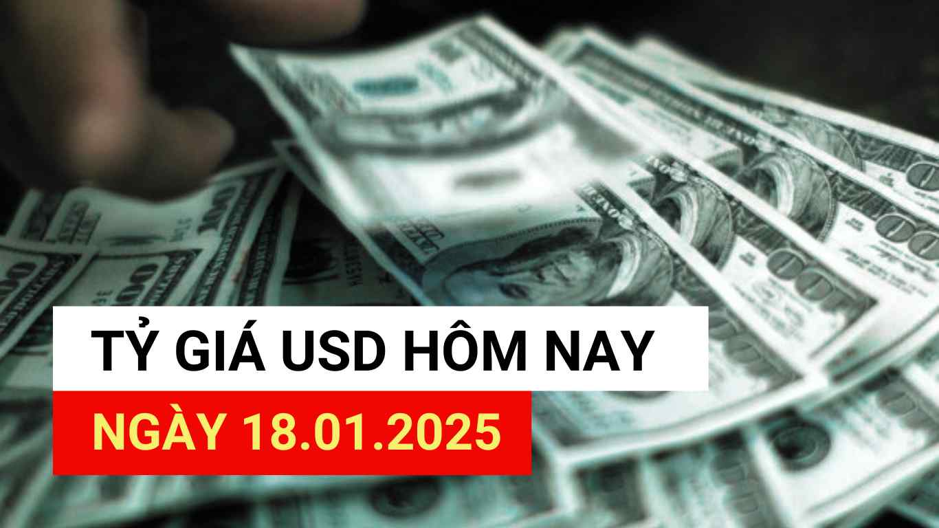 USD exchange rate today 18.1.2025.