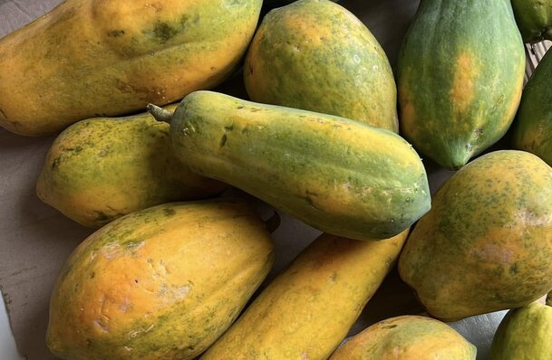 This is a fruit in the five-fruit tray that can help reduce belly fat. Photo: Kieu Vu