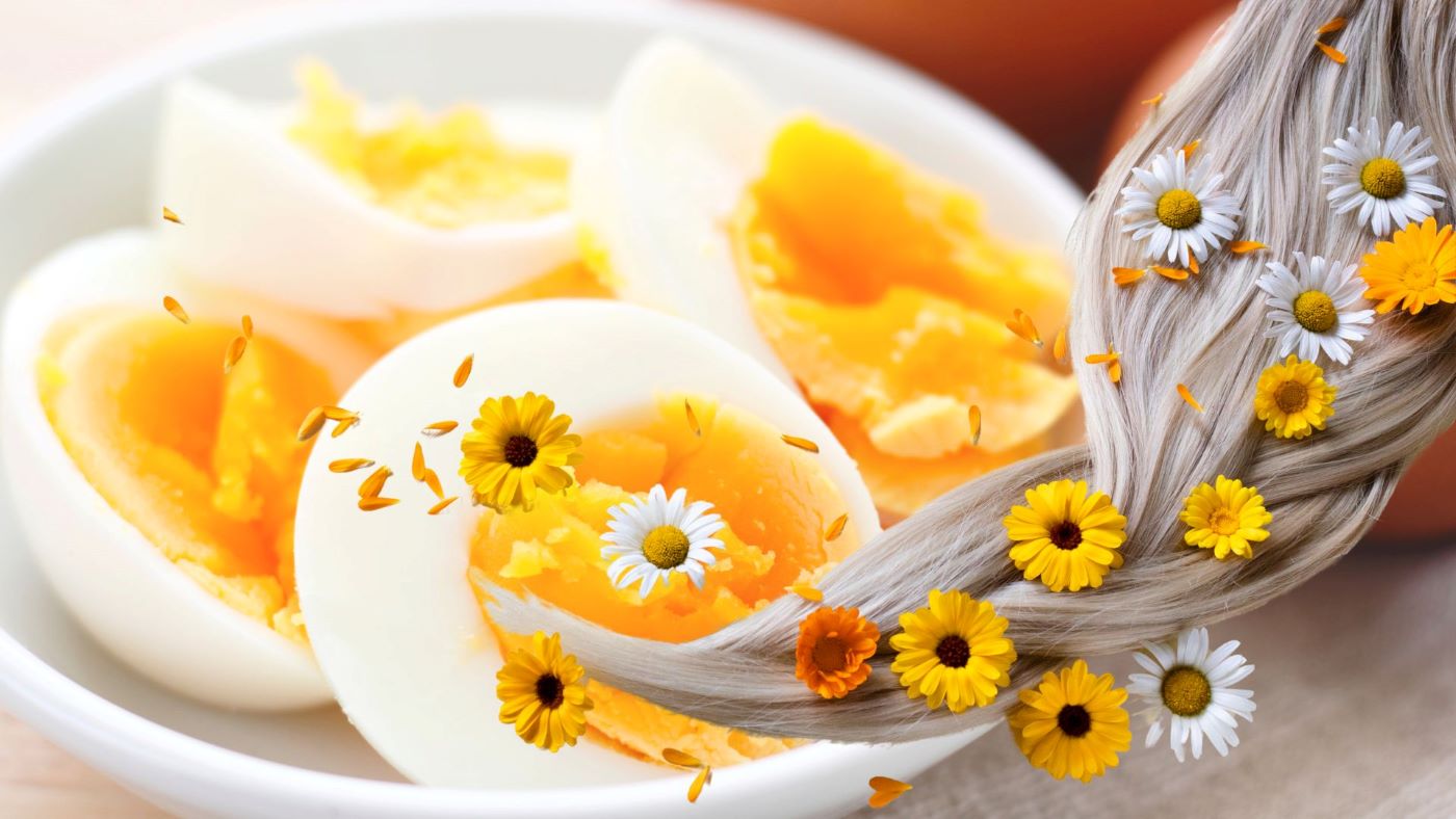 Eggs are good for hair. Graphics: Thanh Thanh