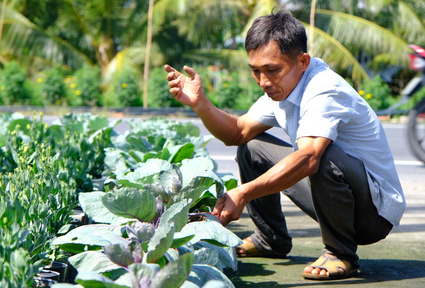 Nong dan sang tao dua nong san len chau trong