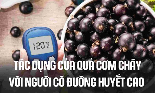 Tác dụng của quả cơm cháy với người có đường huyết cao