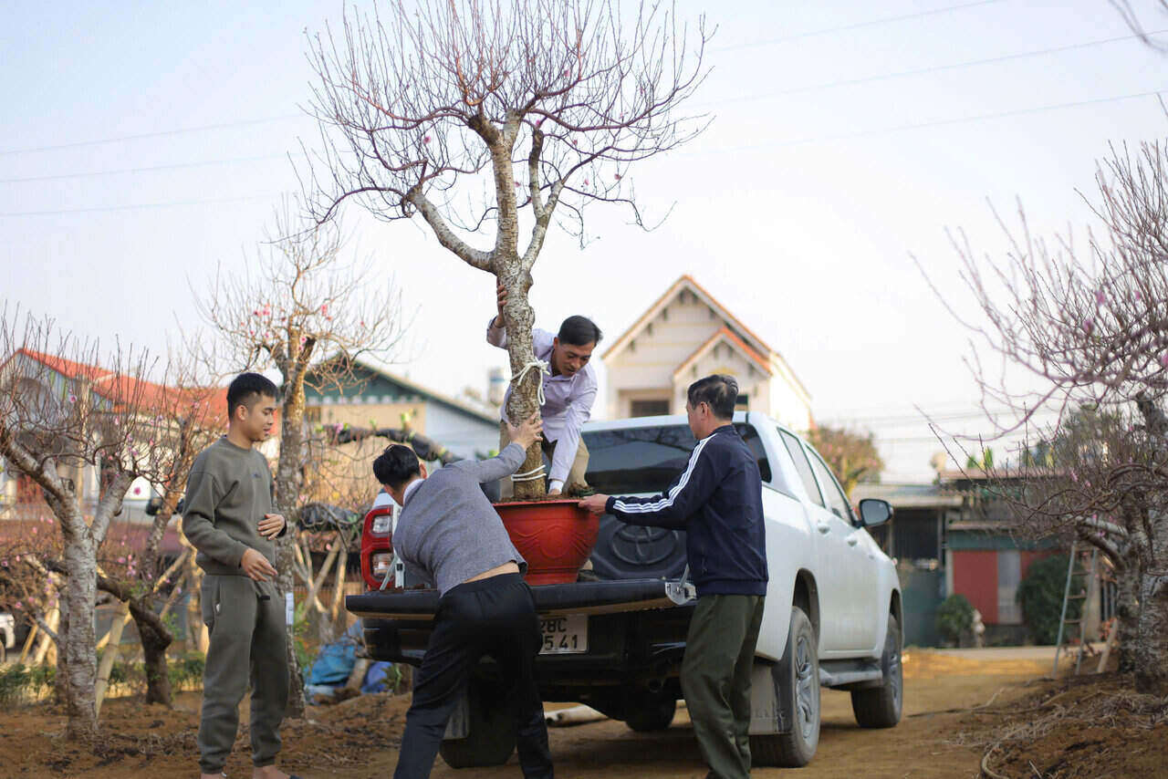 Thoi diem nay, cac ho trong dao tai xa Toan Son, huyen Da Bac, tinh Hoa Binh tat bat. Anh: Dang Tinh