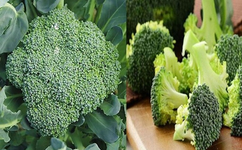 Broccoli helps regulate blood sugar. Illustration: Ha May.