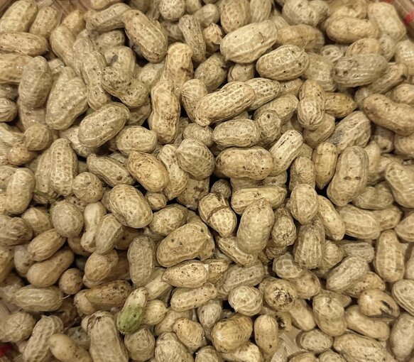 People with fatty liver should be careful when eating peanuts. Photo: Kieu Vu
