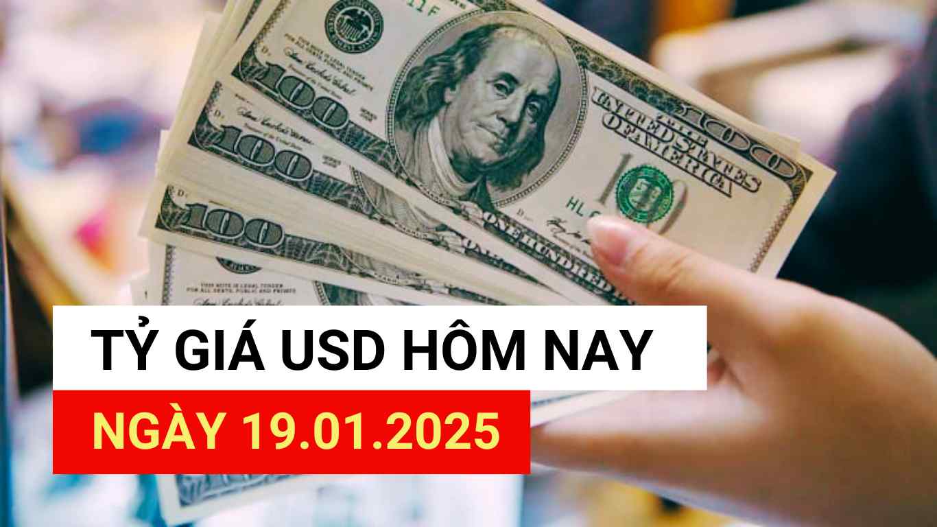 USD exchange rate today 19.1.2025