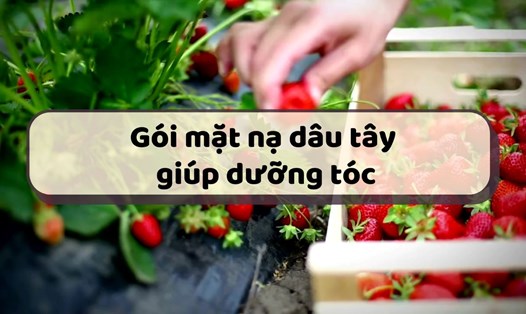 Gói mặt nạ dâu tây giúp dưỡng tóc hiệu quả