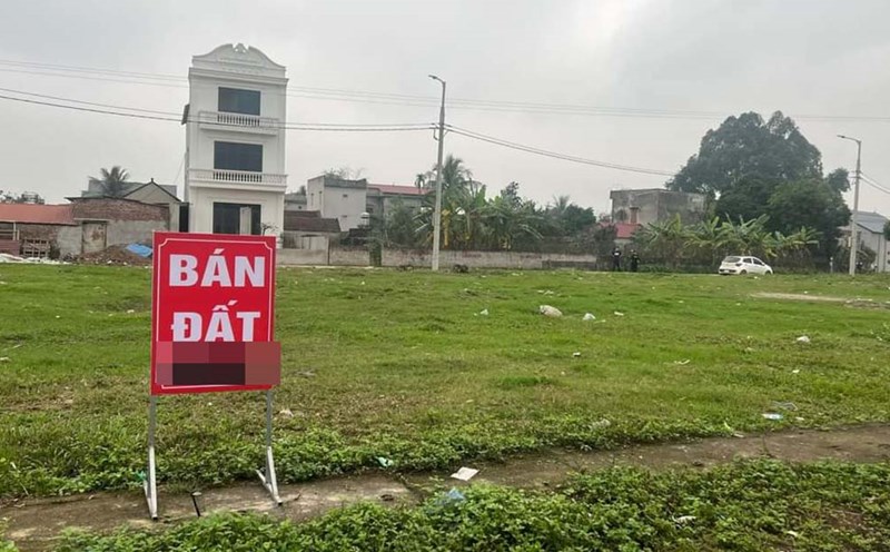 Investors have begun hunting for land in the suburbs of Hanoi to wait for the wave to make a profit. Photo: Cao Nguyen.