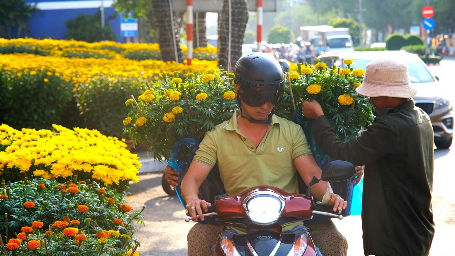 Gardeners hope Tet flowers will be sold out early so they can go home to celebrate Tet with their families