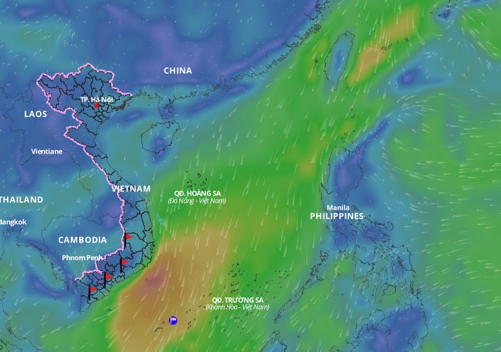 Cold air is forecast to continue causing bad weather in some areas of the East Sea. Above is the image of the wind direction layer over the sea updated at 4:30 p.m. on January 19. Photo: Vietnam Natural Disaster Monitoring System