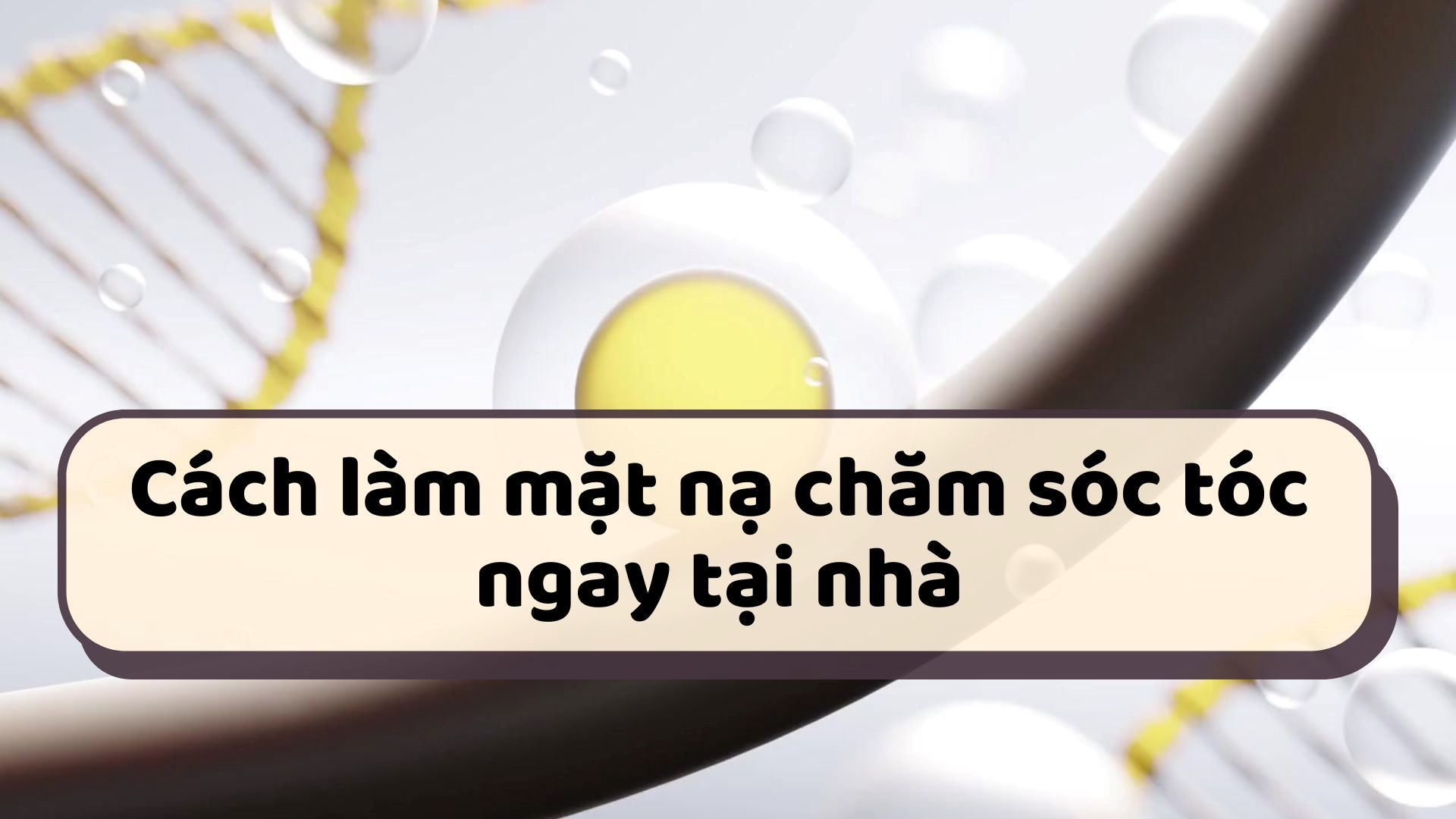 Hair care mask from avocado and olive oil helps hair become shiny and smooth. Graphics: Thanh Thanh