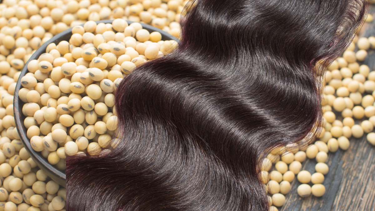 Soybeans are good for hair. Graphics: Thanh Thanh