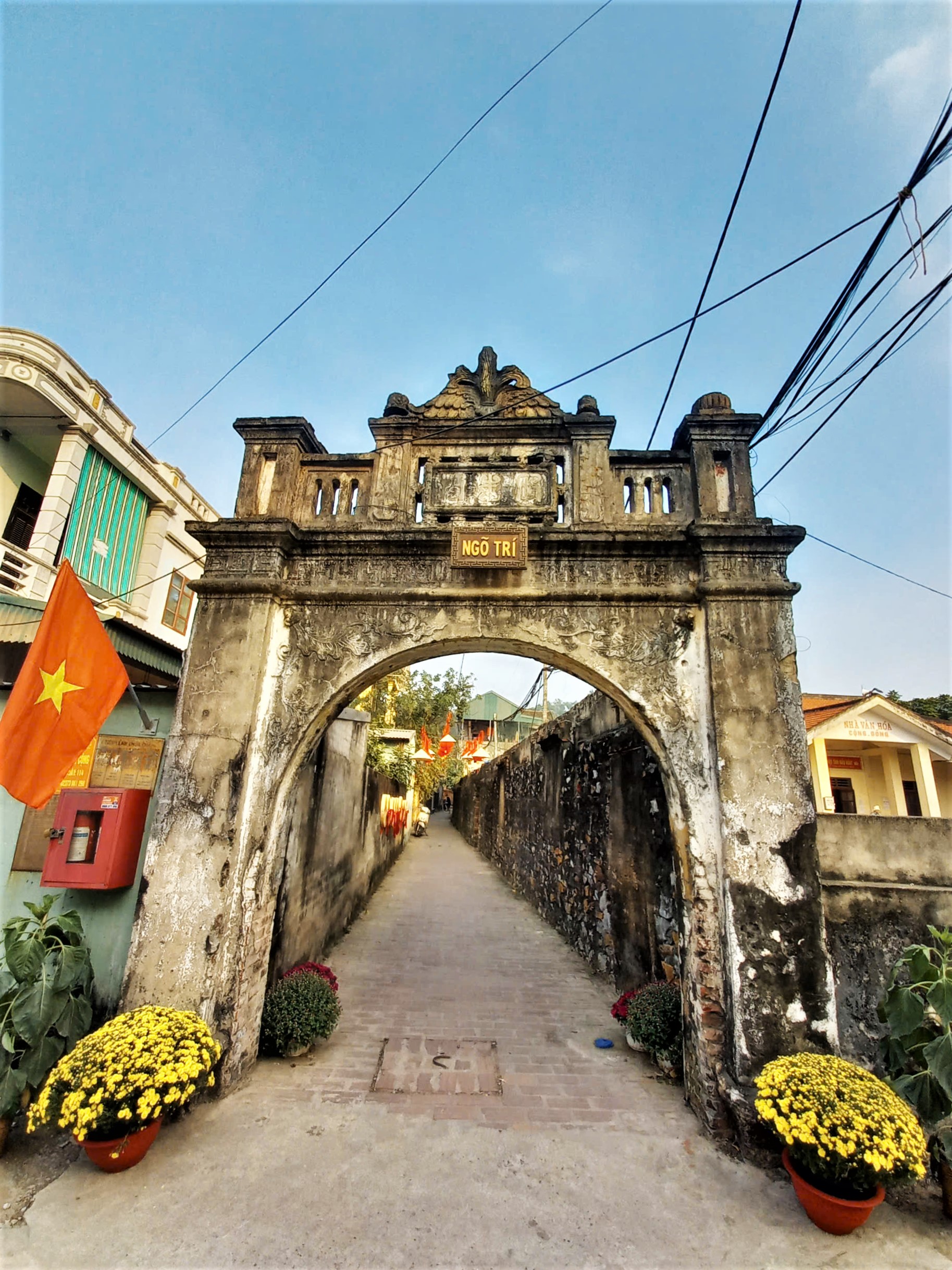 Lang co Dong Son (phuong Ham Rong) co dien tich gan 4km2 voi 330 ho dan dang sinh song. Mot trong nhung dac diem noi bat cua lang co la he thong ngo Nhan, Nghia, Tri, Dung. Trai qua nhieu thang tram lich su, lang van gin giu duoc nhieu kien truc xua cu la he thong ngo chinh, tuong gach, nha co hang tram nam tuoi...