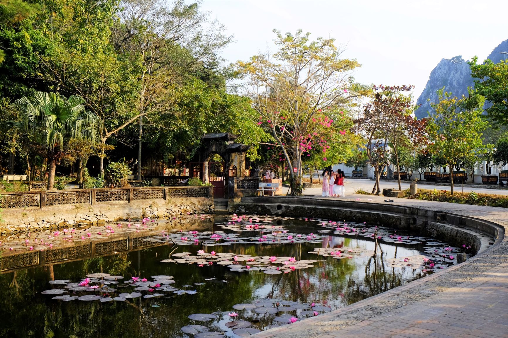 Chiec ao trong khuon vien den Duc Thanh Ca Le Uy (thoi Thanh hoang lang) dang mua hoa sung no thu hut khach den chup anh, tham quan. Ngoi den ben trong dang trong qua trinh tu sua xay dung them nen chua trang tri nhieu cho dip Tet Nguyen dan.