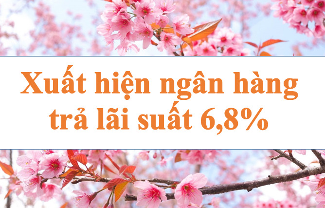 A bank appears to pay interest rate of 6.8%/year. Photo: Ha Vy