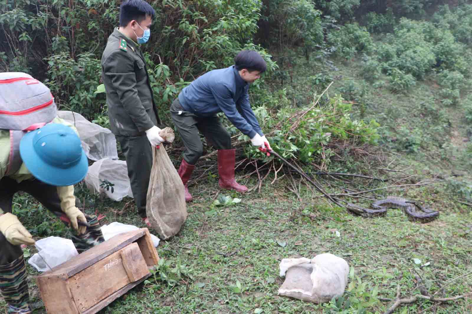 Tha tran ve tu nhien. Anh: Quang Tuan.