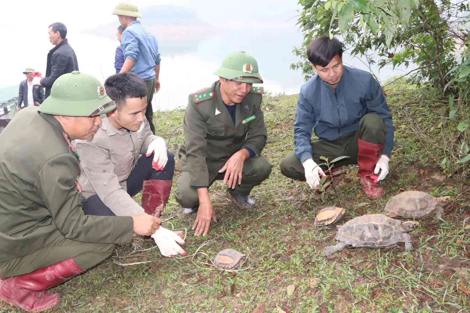 Tha rua ve tu nhien. Anh: Quang Tuan.