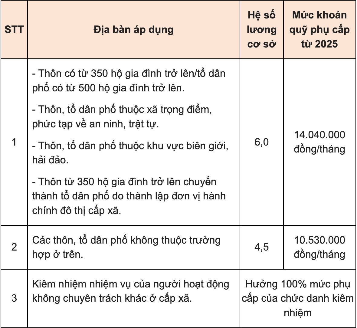 Mức trợ cấp của trưởng thôn năm 2025. Ảnh: Anh Tuấn