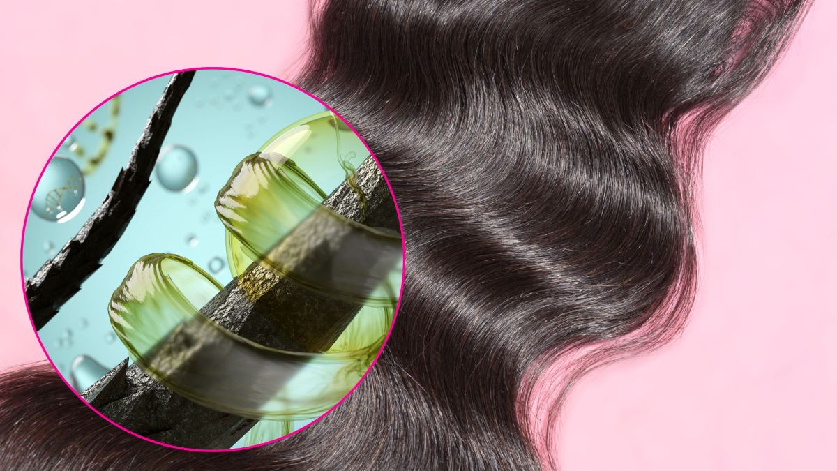 Signs of healthy hair include elasticity and porosity. Graphics: Thanh Thanh