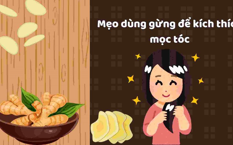 Ginger helps stimulate hair growth. Graphics: Ha May