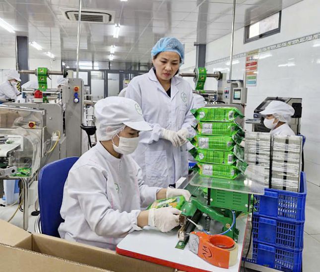 Wide open job opportunities await workers. Photo: Nguyen Linh