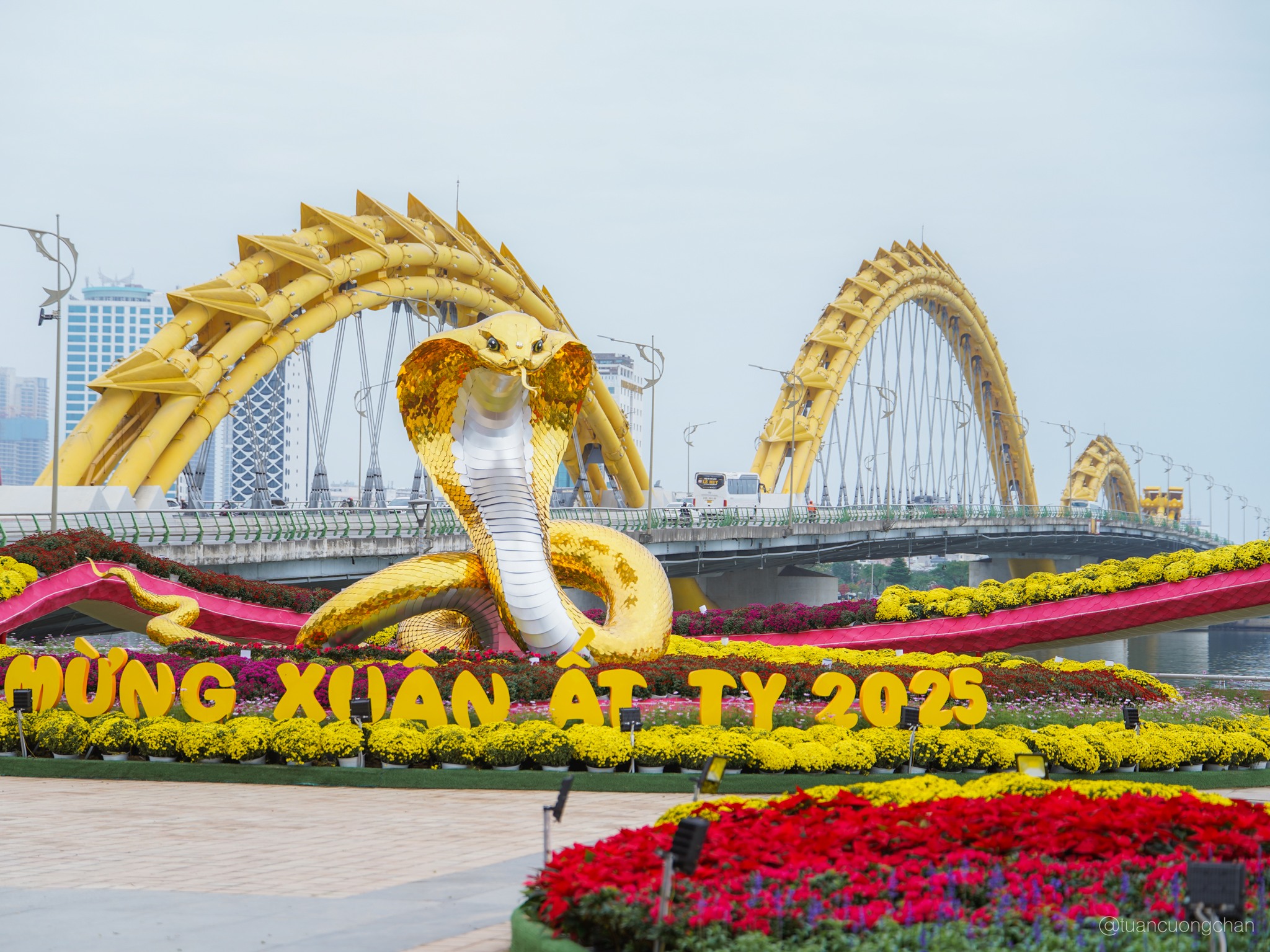 Duong hoa Da Nang dang trong qua trinh hoan thien nen du khach chua duoc tham quan nhung linh vat ran qua xuat sac da thu hut nhieu nguoi tap trung ben ngoai hang rao. Anh Pham Quang Tuan, song o Da Nang chia se: “Hiem noi nao co dia the dep de lam linh vat nam At Ty nhu Da Nang. Ke ben cau rong nen gan nhu moi nguoi deu an tuong ngay khung canh “Rong ran len may”. Anh: Tuan Cuong Chan