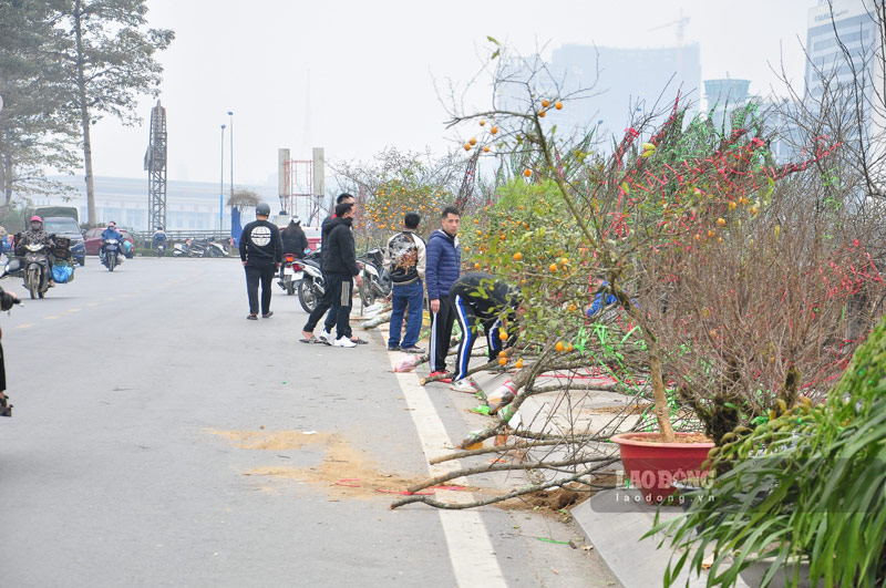 Thời điểm này, cung đường An Dương Vương (thành phố Lào Cai) đã trưng bày đủ loại hoa Tết để người dân tham quan, mua sắm. Ảnh: Đinh Đại