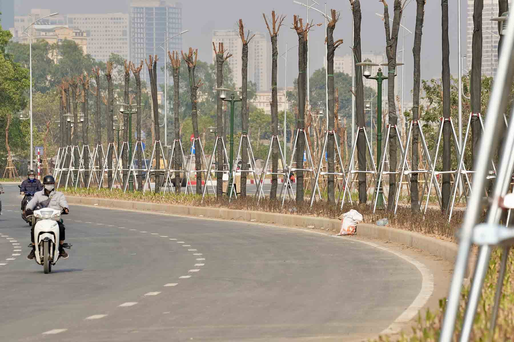 He thong cay xanh duoc trong tren tuyen. Anh: Huu Chanh