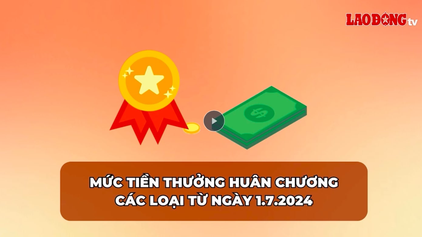 Mức tiền thưởng đi kèm theo Huân chương Sao vàng được căn cứ theo mức lương cơ sở. Ảnh minh họa: LDO