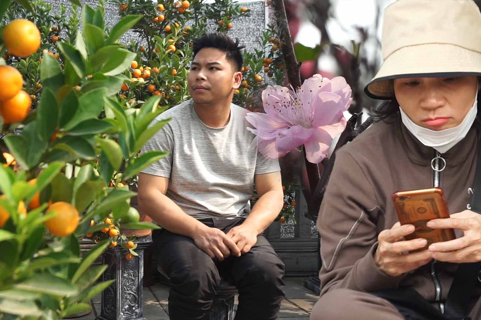 Many small traders selling peach and kumquat trees for Tet in Hanoi are worried because sales are slow, while Tet is approaching.