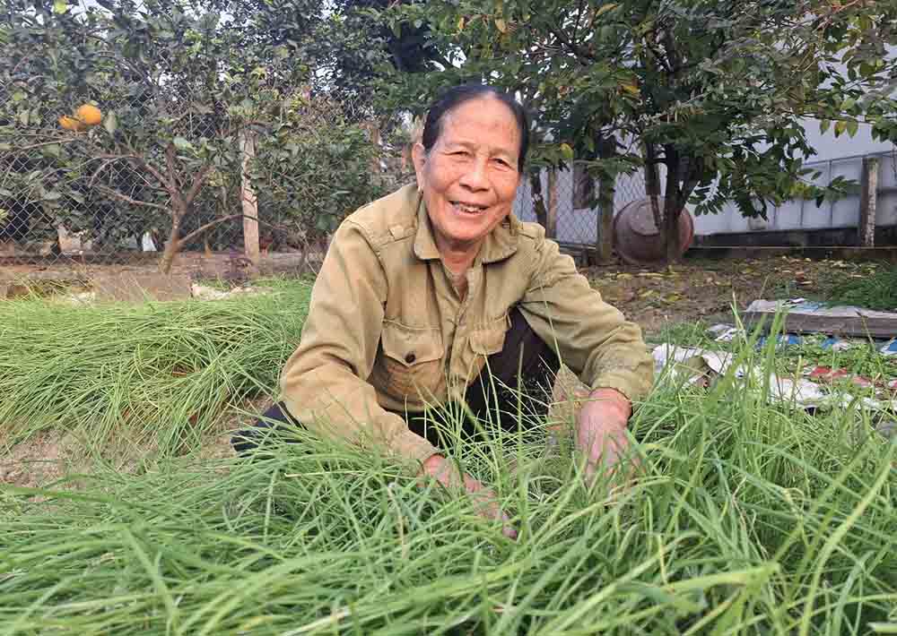 Ba Buoi chia se niem vui khi xa Thach Khe duoc len Thanh pho. Anh: Tran Tuan.