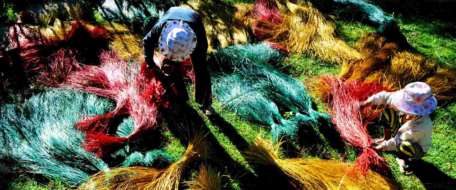 Dyeing sedge before weaving mats, a traditional craft present in both regions. Photo: Tran Cao Duyen