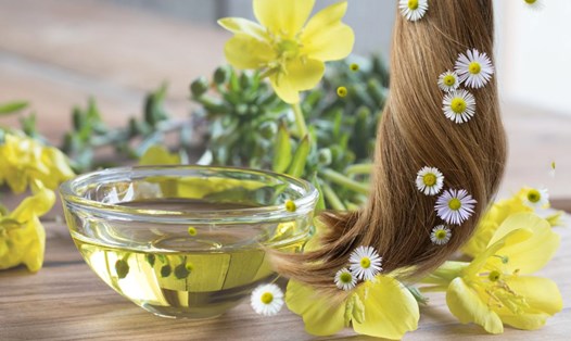 Dầu hoa anh thảo giúp kích thích mọc tóc. Đồ họa: Thanh Thanh