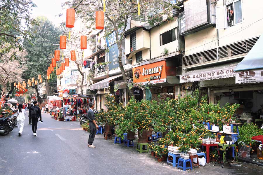 Tuy nhien, nam nay, cho hoa Hang Luoc kha vang khach den mua hang.