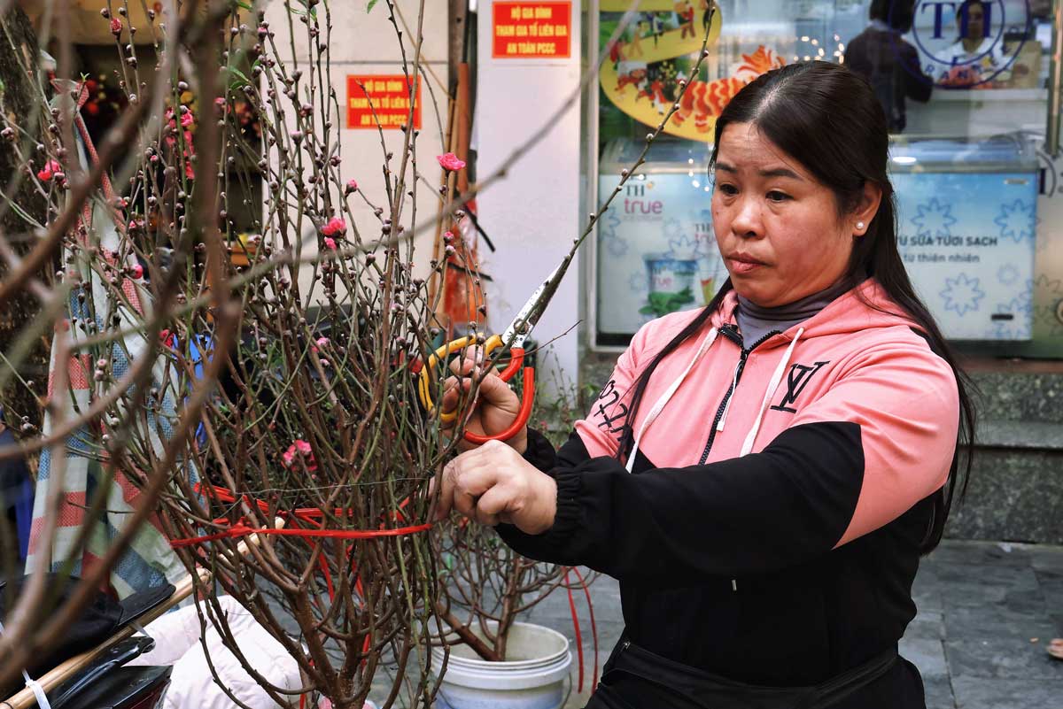 Ban hang o cho hoa Hang Luoc 28 nam, chi Ta Thu Huong cung cho biet nam nay so luong nguoi mua kem, cho diu hiu, khong nhon nhip nhu moi nam. Chi Huong hy vong sau ngay 23 thang Chap, buon ban se khoi sac hon.