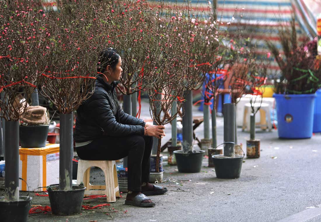 The 100-year-old flower market in Hanoi, which only meets once a year, is still empty of customers