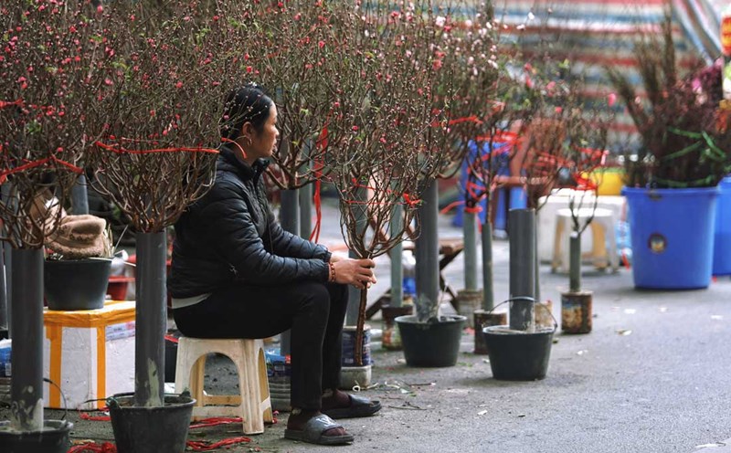 The 100-year-old flower market in Hanoi, which only meets once a year, is still empty of customers