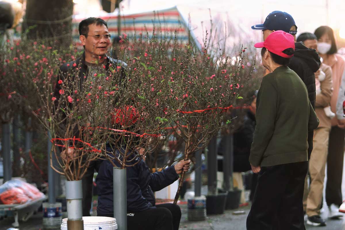 Chung kien canh cho hoa Hang Luoc it nguoi ban, vang nguoi mua, ba Dong Xuan Ninh (Hang Luoc, Hoan Kiem, Ha Noi) to ra tiec nuoi. Ba Ninh chia se: “Nhung nam truoc, cho hoa nhon nhip nguoi mua nguoi ban, toi muon di ra ngoai con phai chen qua dong nguoi de di, bay gio muon thay lai canh do cung kho“.