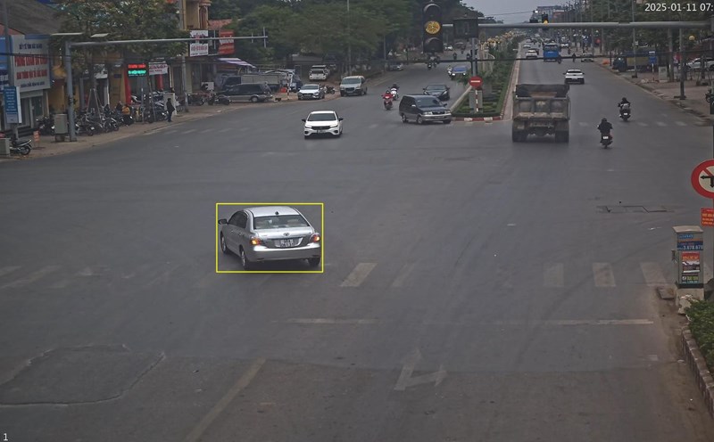Car owner fined in Bac Giang. Photo: Bac Giang Police