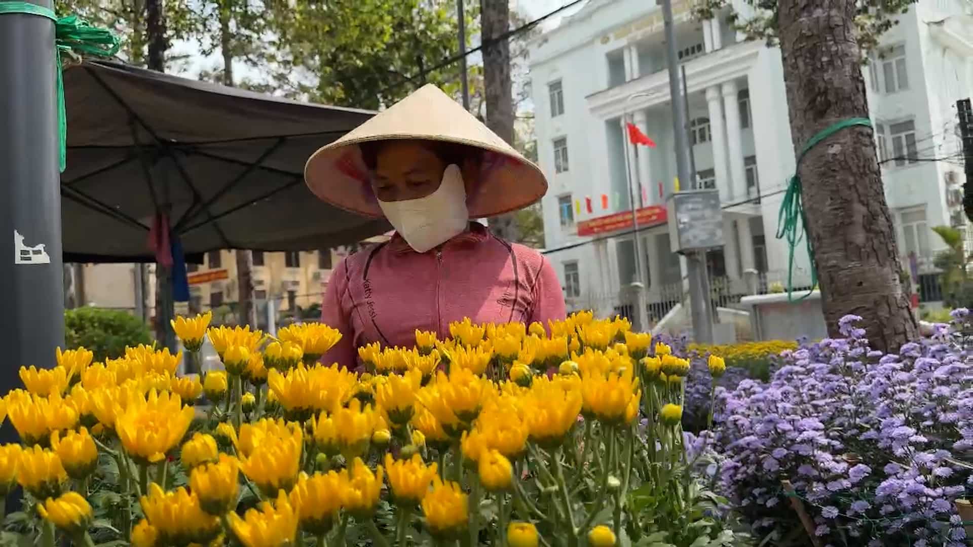 Bustling Tet atmosphere at Tra Vinh flower and ornamental plant market. Photo: Hoang Loc
