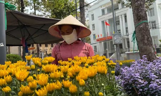 Nhộn nhịp không khí Tết tại chợ hoa, kiểng Trà Vinh. Ảnh: Hoàng Lộc
