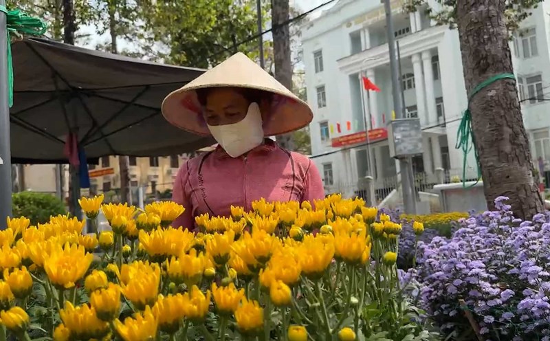 Bustling Tet atmosphere at Tra Vinh flower and ornamental plant market. Photo: Hoang Loc